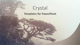  Presentation with chile - Theme consisting of giant-tree-in-rain-forest background and a sky blue colored foreground