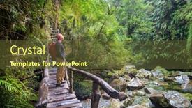  Presentation with beautiful landscapes - Slide deck having giant-tree-in-rain-forest background and a tawny brown colored foreground