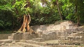  Presentation with maya - Cool new presentation theme with giant-tree-in-ruins backdrop and a coral colored foreground