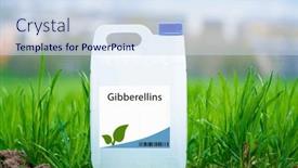  Presentation with seed germination - Slides enhanced with gibberellins-growth-regulators-that-promote background and a sky blue colored foreground