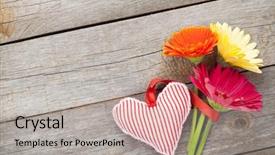  Presentation with heart flowers - PPT theme enhanced with colorful gerbera flowers and valentine' background and a light gray colored foreground