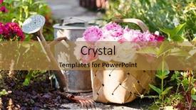  Presentation with peonies wood - PPT theme having gift baskets - peonies in basket background and a gold colored foreground