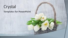 Presentation with poster on white wall above - Amazing slide deck having gift baskets - white tulips bouquet basket backdrop and a sky blue colored foreground