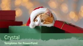  Presentation with christmas lights - Audience pleasing presentation theme consisting of gift box with cute cat backdrop and a ocean colored foreground