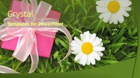  Presentation with gift ribbon - Amazing presentation design having gift box with ribbon on grass with daisy flowers backdrop and a tawny brown colored foreground
