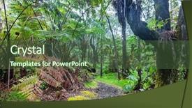  Presentation with fern - PPT theme featuring gigant fern trees in rainforest background and a ocean colored foreground