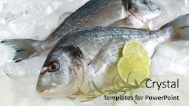 Presentation with frozen seafood - Audience pleasing PPT theme consisting of gilt-head bream fish dorado backdrop and a mint green colored foreground