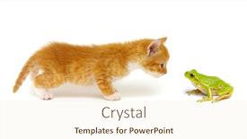  Presentation with frog - Colorful presentation theme enhanced with ginger-cat-and-green-tree backdrop and a lemonade colored foreground