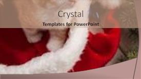  Presentation with christmas tree - PPT theme consisting of ginger-cute-kitten-in-santa background and a coral colored foreground