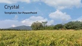  Presentation with asia - Slide set featuring zingiber officinale - ginger farm in luye taitung background and a light blue colored foreground