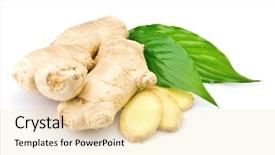  Presentation with forensic chemistry leaves - Cool new presentation theme with ginger with leaves backdrop and a blonde colored foreground