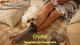  Presentation with poisonus mushroom book - Presentation design consisting of gingerbread cookies book hot drink background and a tawny brown colored foreground