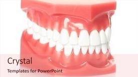  Presentation with dentistry - Slides with gingiva - healthy white human teeth anatomical background and a  colored foreground