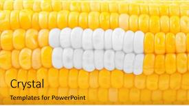  Presentation with corn - Beautiful slides featuring gingiva - stomatology concept of ripe yellow backdrop and a  colored foreground