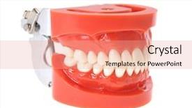  Presentation with dentures - Beautiful slides featuring gingiva - teeth or dentures isolated backdrop and a coral colored foreground