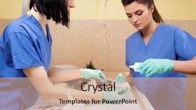  Presentation with dental extraction - Theme consisting of gingival health - veterinarian performing dental extraction background and a coral colored foreground