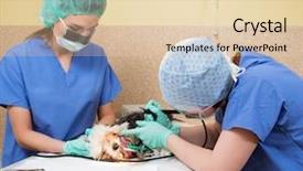  Presentation with dental - Amazing PPT theme having gingival health - vets performing canine dental prophylaxis backdrop and a lemonade colored foreground
