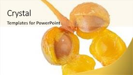  Presentation with ginkgo - Colorful PPT theme enhanced with flavonoids - ginkgo biloba fruits cross section backdrop and a blonde colored foreground