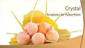  Presentation with ginkgo - Audience pleasing PPT theme consisting of ginkgo biloba fruits heap backdrop and a cream colored foreground