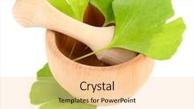  Presentation with ginkgo - Beautiful slides featuring ginkgo biloba leaves in mortar backdrop and a lemonade colored foreground