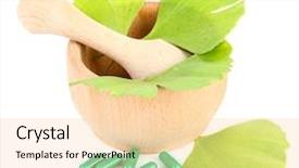  Presentation with ginkgo - Cool new slide set with  backdrop and a  colored foreground