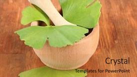  Presentation with ginkgo - Presentation theme with homoeopathy - ginkgo biloba leaves in mortar background and a coral colored foreground