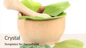  Presentation with ginkgo - Beautiful PPT theme featuring ginkgo biloba leaves in mortar backdrop and a lemonade colored foreground