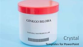  Presentation with ginkgo - PPT theme enhanced with ginkgo-biloba background and a light blue colored foreground