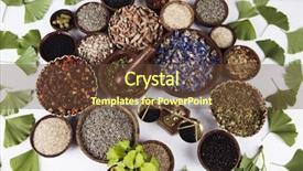  Presentation with ginkgo - Amazing presentation theme having ginkgo-maidenhair-tree-natural-remedy backdrop and a tawny brown colored foreground