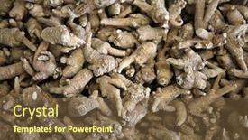  Presentation with ginseng - Beautiful PPT theme featuring ginseng-ginseng-root-piled-high backdrop and a tawny brown colored foreground