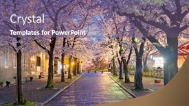  Presentation with japan cherry blossom - PPT theme featuring gion-shirakawa-kyoto-japan-during background and a violet colored foreground