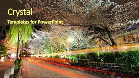  Presentation with sakura - Presentation enhanced with gion with sakura tree background and a tawny brown colored foreground