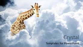  Presentation with cloud - Theme enhanced with giraffe-above-stormy-clouds-cute background and a light blue colored foreground