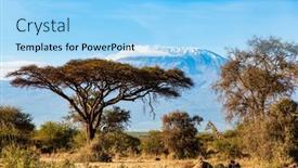  Presentation with exotic animals - Presentation theme featuring giraffe-amboseli-park-the-famous background and a light blue colored foreground