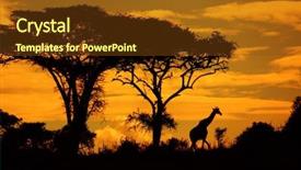  Presentation with kenya - Presentation design having giraffe at sunset kenya background and a tawny brown colored foreground