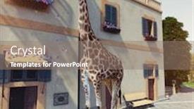  Presentation with house window - Slide deck consisting of giraffe eats flowers from the window of the house second floor media mixed concept background and a gray colored foreground