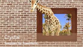  Presentation with brick wall - Colorful slide deck enhanced with giraffe-in-wooden-frame backdrop and a coral colored foreground
