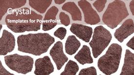  Presentation with skin - PPT layouts having giraffe skin print background and a violet colored foreground