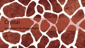  Presentation with animal print - PPT theme featuring giraffe skin print background and a red colored foreground