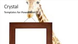  Presentation with signboard - Presentation design consisting of camelopard - giraffe with signboard in wooden background and a white colored foreground