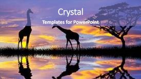  Presentation with africa - Colorful slide set enhanced with giraffes in africa backdrop and a teal colored foreground