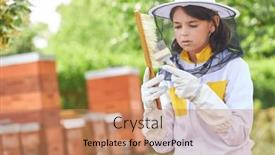  Presentation with brush - Presentation design consisting of girl-analyzing-hive-fork and a coral colored foreground