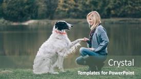  Presentation with dog - Audience pleasing PPT theme consisting of girl-and-her-dog-playing backdrop and a gray colored foreground