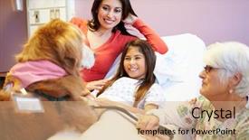  Presentation with therapy dog - Colorful presentation enhanced with wooden desktop environment tool backdrop and a gray colored foreground