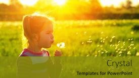  Presentation with dandelion - Cool new theme with girl-blowing-dandelion-outdoors backdrop and a gold colored foreground