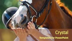  Presentation with portrait of a horse - Cool new PPT layouts with girl competition - portrait of female jockey feeding backdrop and a tawny brown colored foreground
