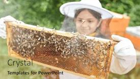  Presentation with honey bee kids - Theme featuring girl-examining-beehive-frame background and a coral colored foreground