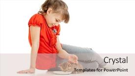  Presentation with homeless - Beautiful presentation theme featuring girl feeding homeless alley cat backdrop and a soft green colored foreground