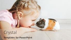  Presentation with joy - Presentation design consisting of girl-holding-a-guinea-pig background and a lemonade colored foreground