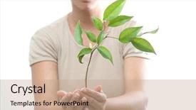  Presentation with new baby girl - Colorful PPT layouts enhanced with girl holding a new tree backdrop and a  colored foreground